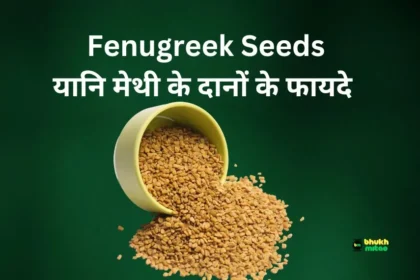 Fenugreek Seeds