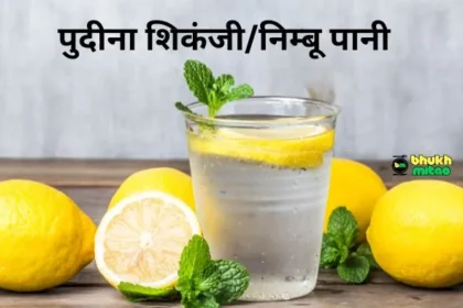 Pudina Nimbu Pani Recipe