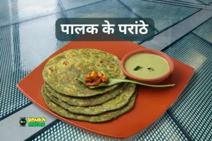 Palak Paratha Kaise Banaye