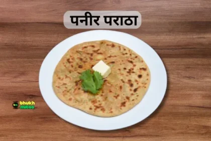 Stuffed paneer paratha recipe