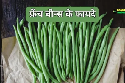 French Beans Kya Hota Hai