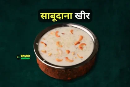 Homemade Sabudana Kheer Recipe