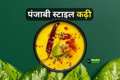 Punjabi Kadhi Recipe Hindi