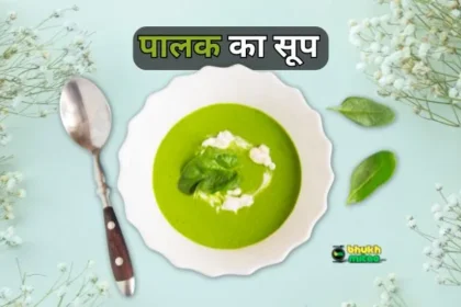 Spinach Soup Recipe Indian