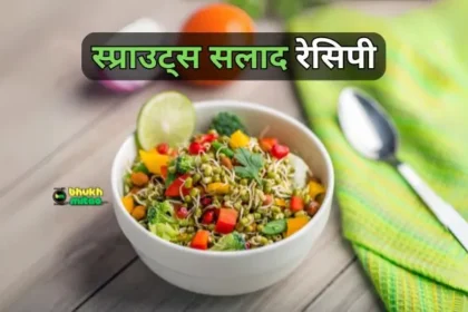 Sprouts Salad Recipe in Hindi